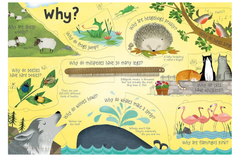 Questions and Answers about Animals