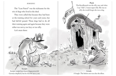 Robodog