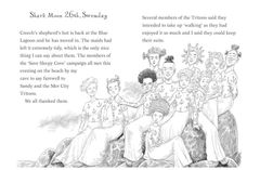 Mermaids Diary