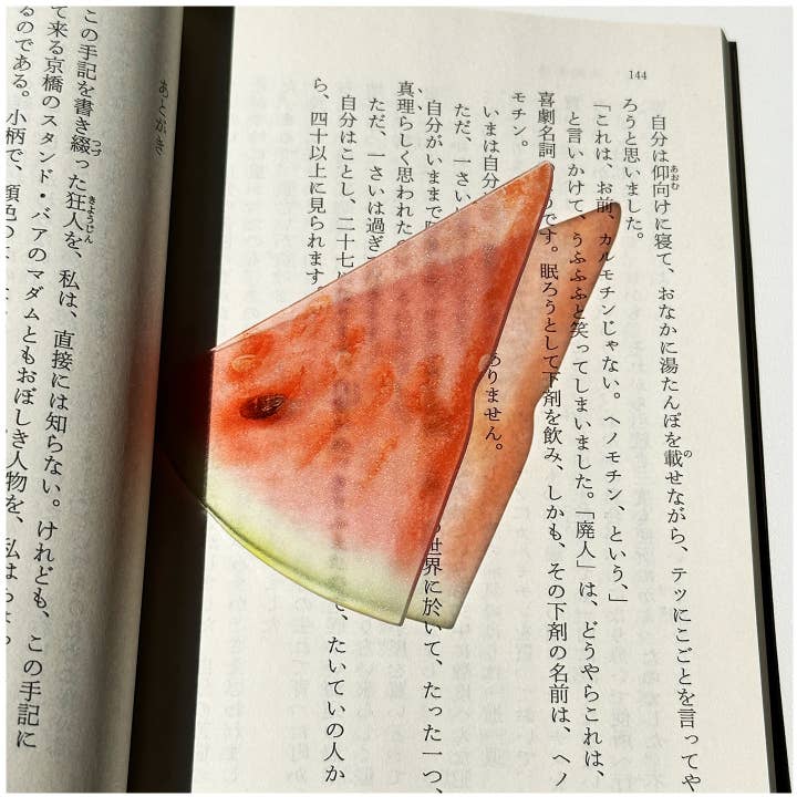 huemabe transparent acrylic watermelon bookmark