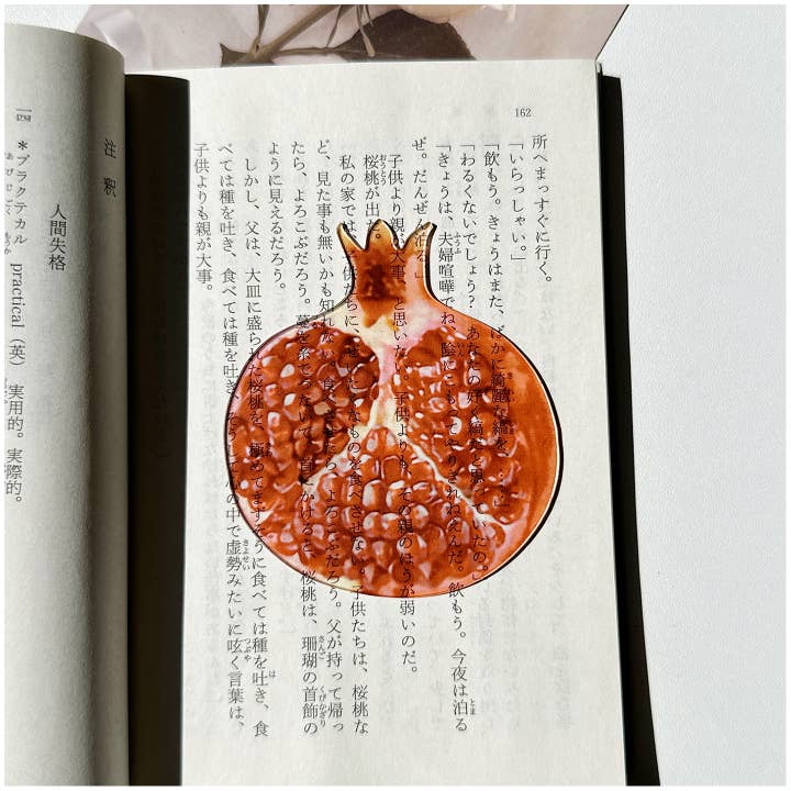 huemabe transparent acrylic pomegranate bookmark